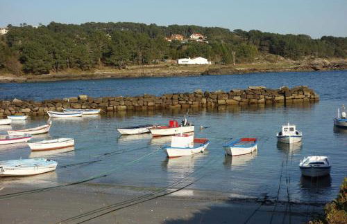 Camino de Rosa's - Foto 34