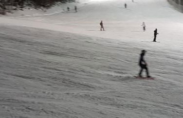 Ferienwohnung Wildgatter - Photo 30