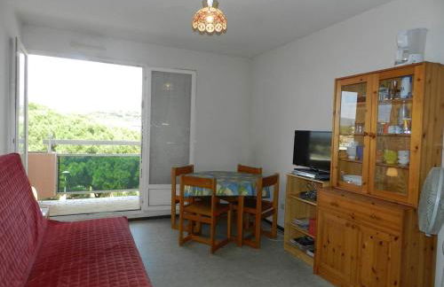 BO040-1050 Appartement 2 pièces 5 couchages BORMES LES MIMOSAS - Foto 5