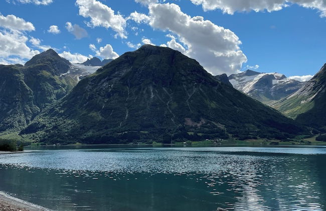 Vollsnes Gjestehus - Foto 56