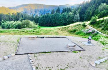 Appartements Les Vosges - Foto 70