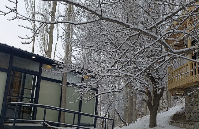 Stunning Cliff-edge 2-bedroom Chalet in Karimabad - Photo 16