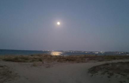 City Sea House - Foto 48