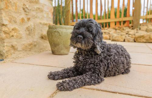 1 Bed in Beaminster oc-g33041 - Foto 12