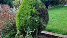 Garden View Apartment - Foto 3, Garden, Garden view