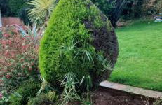 Garden View Apartment - Foto 3