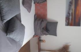 Ferienwohnung im Grünen - Foto 8