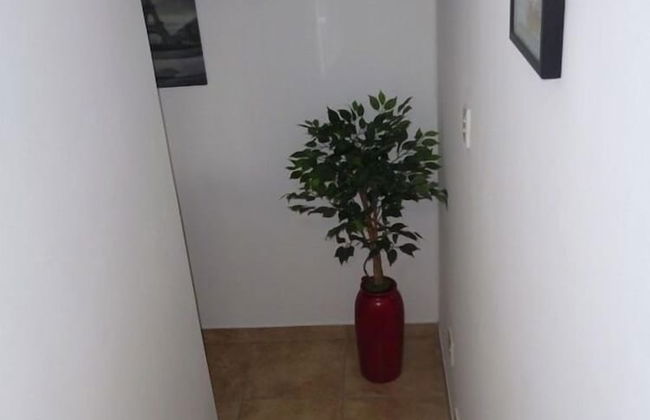 Swakopmund Accommodation - Photo 46