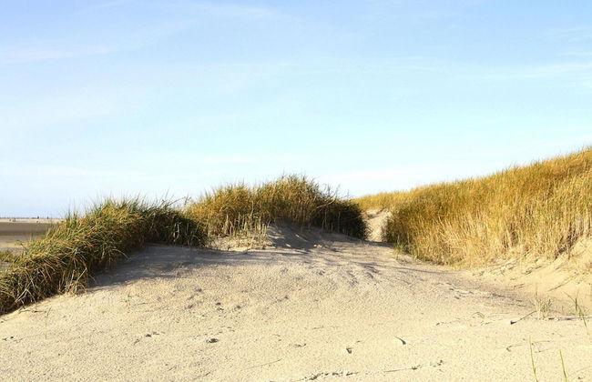 Holiday Apartment in St. Peter-ording - Photo 10