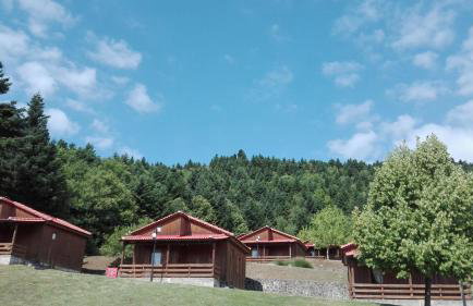 Livadaki Village - Δασικό Χωριό Λιβαδάκι - Foto 32