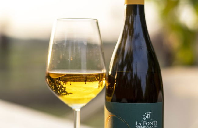 Agriturismo La Fonte - Photo 47