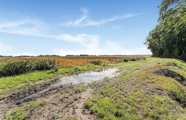 Beautiful Apartment in Sint Maartensbrug - Foto 40