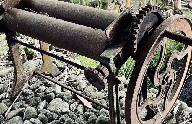 Sahom Valley Resort - Agro & Eco - Foto 21