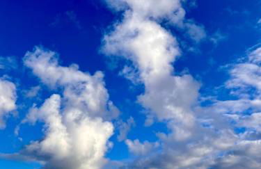 Lobster im Nauticum - Foto 25