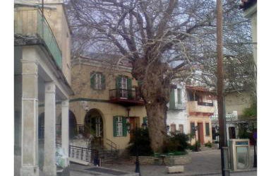 Elina's house - Foto 20