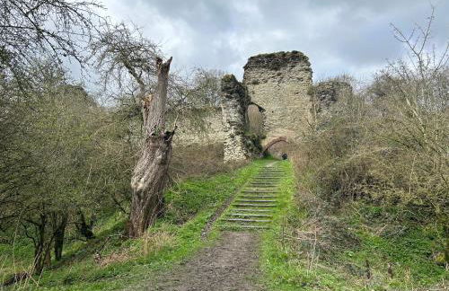 Trillow House, Clungunford, Ludlow - Foto 44