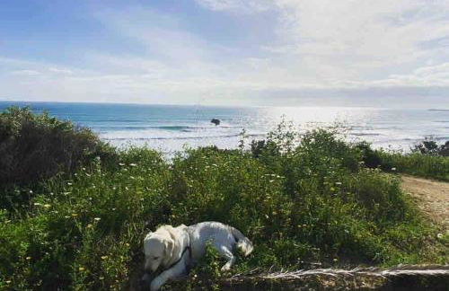 Casa 77, la playa más bonita a 150 metros - Foto 29