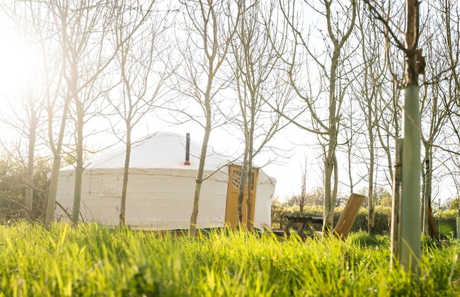 Overe - The Farm Camp - Foto 1