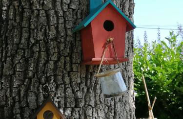 La Petite Maison de la Villa Xaran Erdian - Foto 11