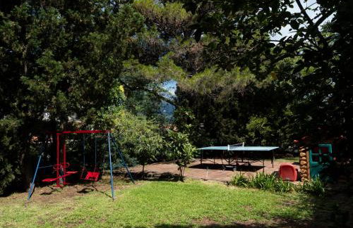 Il palmento - Foto 44