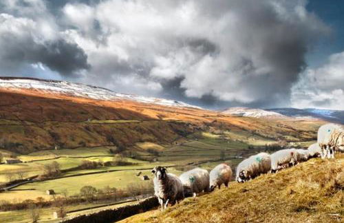 35 Quaker Lane - Foto 32