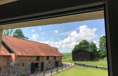 Folwark Mazurskie Legendy - Azyl dla Dorosłych - Foto 30