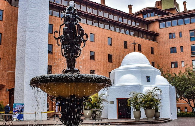 Cora 127 Plenitud - Photo 79