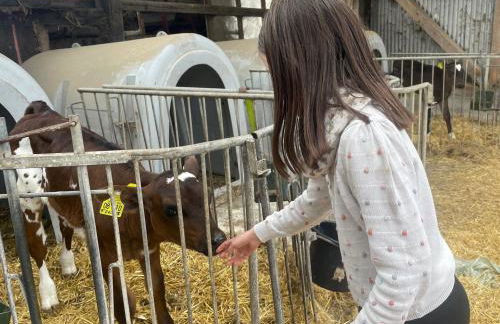 Bushof - Leben auf dem Land - Foto 43