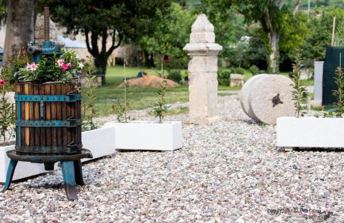 Portami in Collina - Foto 21