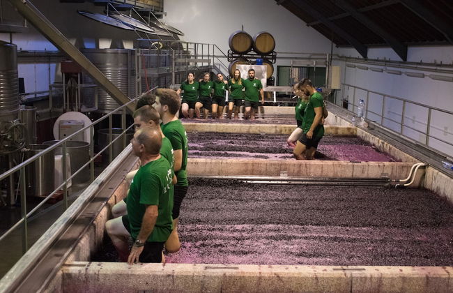 Quinta de la Rosa - Foto 37