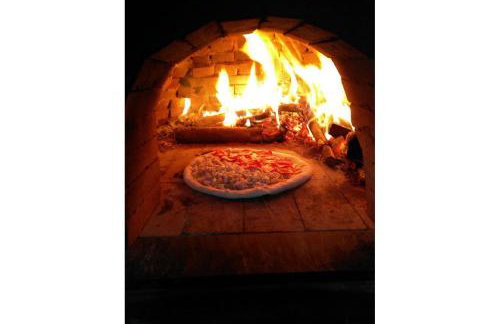 Sitio Libardo em Meio a Natureza - Nova Trento - Foto 14