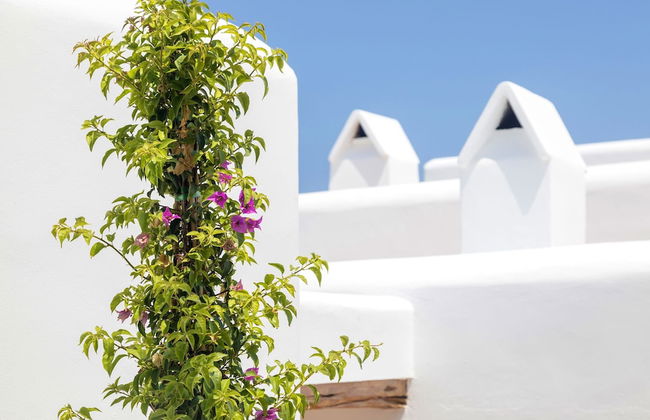 Agroturismo Can Toni Xumeu - Only Adults - Foto 35