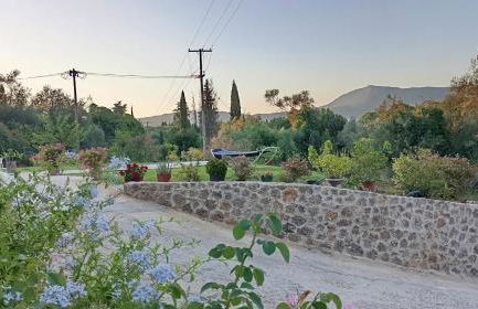 Venetton Garden House Corfu - Photo 14