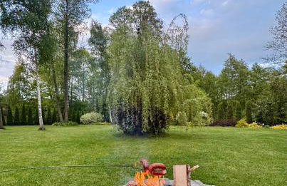 Leśne zacisze nad Narwią - Foto 36