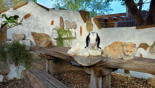 Matta e Sole - Foto 5, Garden