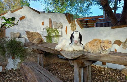 Matta e Sole - Foto 5