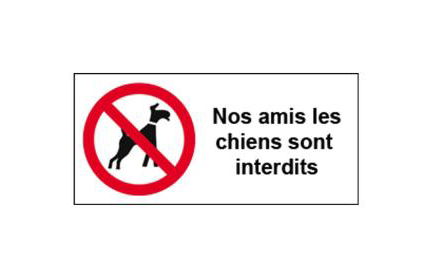 Studio Lumineux et plein de charme - Foto 24