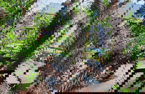 Hoi An Coco Bungalows - Foto 24