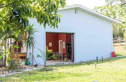 Tampa Bay Oasis - Foto 45