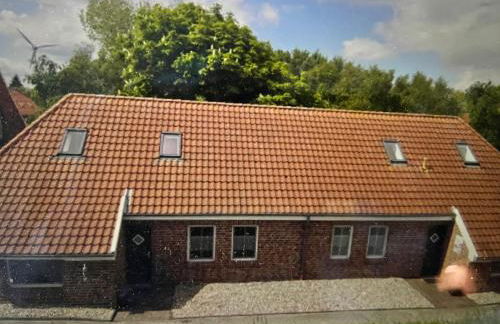 Seestern am Naturstrand - Foto 22