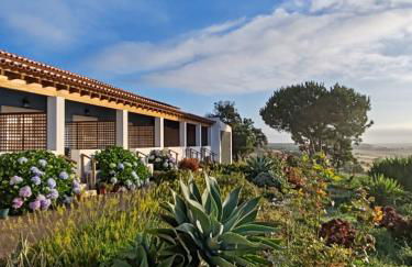 Herdade Monte Novo Do Pocinho - Foto 46