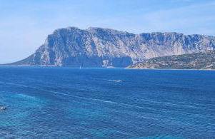 Flamingo's Home - Foto 21