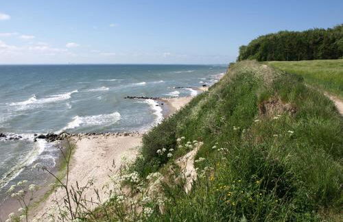 Ostseeferienpark Walkyrien - Kapitän 36 - Foto 31