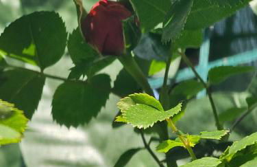 A Home Away From Home - Photo 38