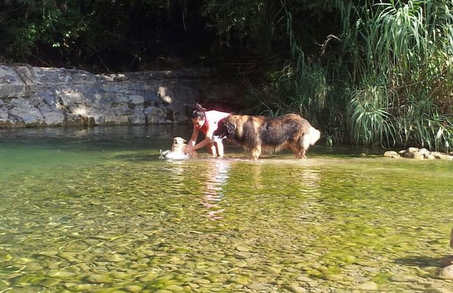 Serraiola Alta - Foto 67