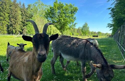 La Forge 8 Personnes - Foto 15