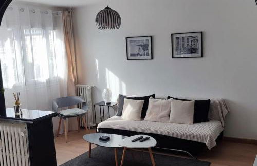 Quartier des emailleurs-T4 avec balcon et garage - Foto 7