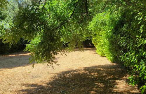 Beautiful house on large wooded grounds of 1600 m2 - Foto 24