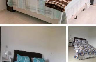 Pedacinho da Amazonia - Photo 5