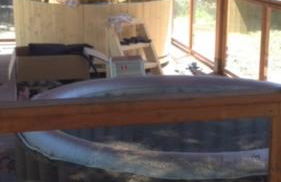 agriturismo trefossata - Foto 3